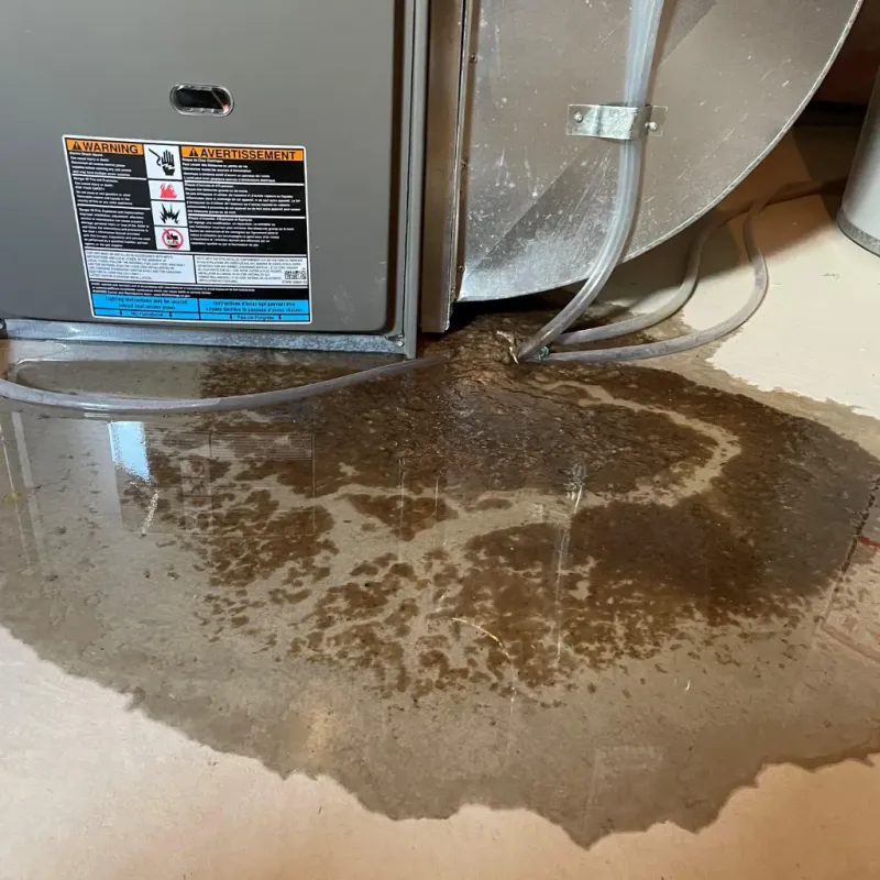 Appliance Leak Cleanup in Edwardsville, PA